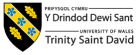 University of Wales Trinity Saint David - project organiser